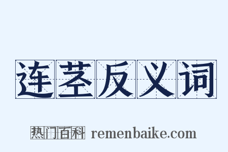 连茎反义词是什么意思的图片